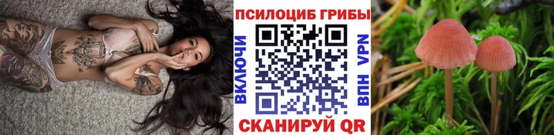 Псилоцибиновые грибы MAGIC MUSHROOMS  Кяхта 